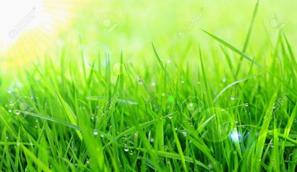 Terrain Bruges 625 m2