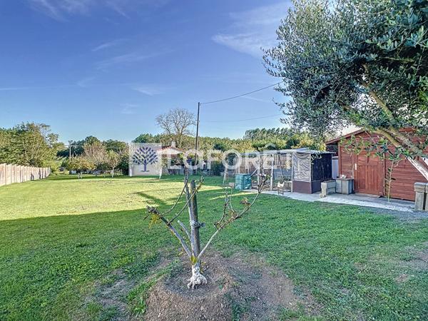 Achat terrain Pas-de-Jeu - 1261 m² - 20 540 €