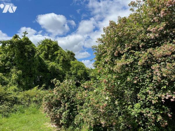 EXCLUSIVITE ! Pavillon sur 3000m² à MONTBIZOT