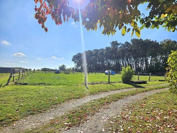 Maison Saint Georges Sur Cher