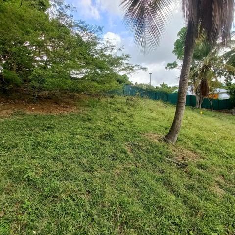 Terrain constructible à vendre DAMPIERRE LE GOSIER (971)