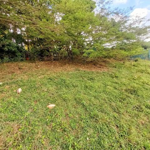Terrain constructible à vendre DAMPIERRE LE GOSIER (971)