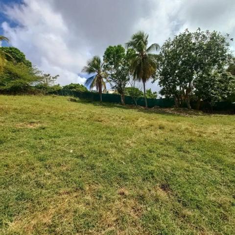 Terrain constructible à vendre DAMPIERRE LE GOSIER (971)