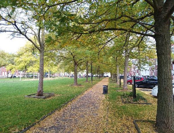 Maison bourgeoise secteur prisé