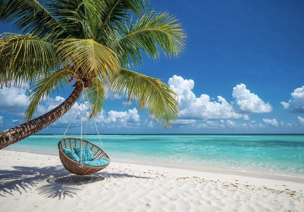 Pointe-à-Pitre (97110) Bien rare : Vivre sur un Ilet un cadre exceptionnel et unique