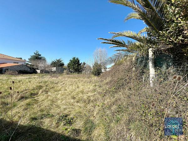 Achat terrain Brem-sur-Mer - 1992 m² - 368 480 €
