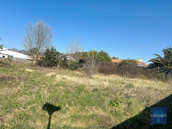 Achat terrain Brem-sur-Mer - 1992 m² - 368 480 €