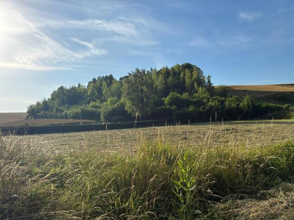 Terrain constructible dans un cadre verdoyant