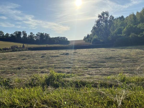 Terrain constructible dans un cadre verdoyant