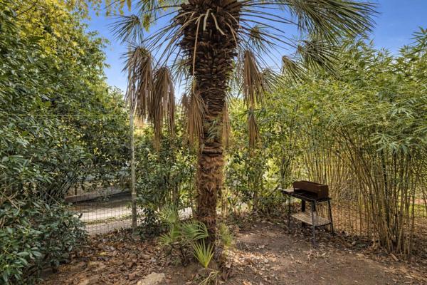 Appartement  T2 rez de jardin