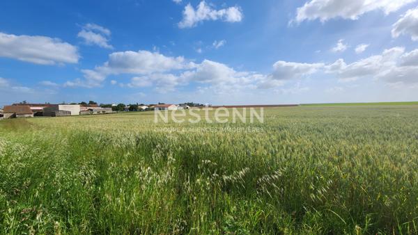 Terrain constructible à vendre à Doix Les Fontaines - 4239 m²