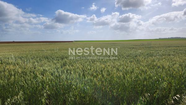 Terrain constructible à vendre à Doix Les Fontaines - 4239 m²