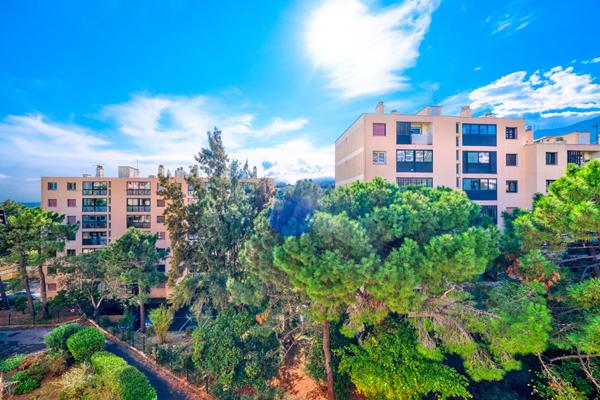 Vente Appartement 4 pièces Bastia Toga