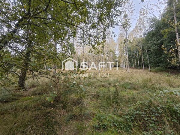 Terrain de loisir avec plan d’eau et peupleraie