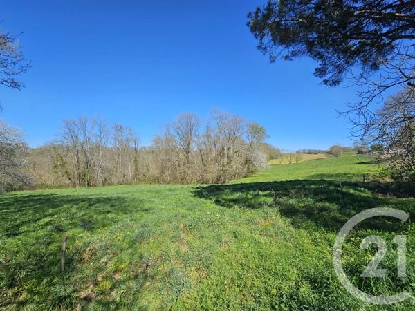 Maison à vendre  7 pièces - 159 m 2   HAGETMAU  - 40