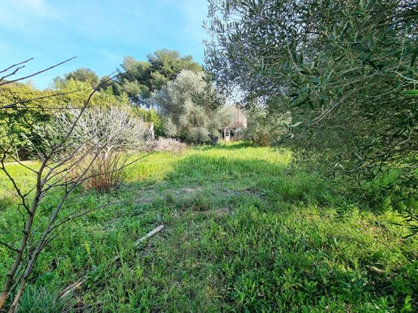 Terrain La Seyne Sur Mer 704 m2
