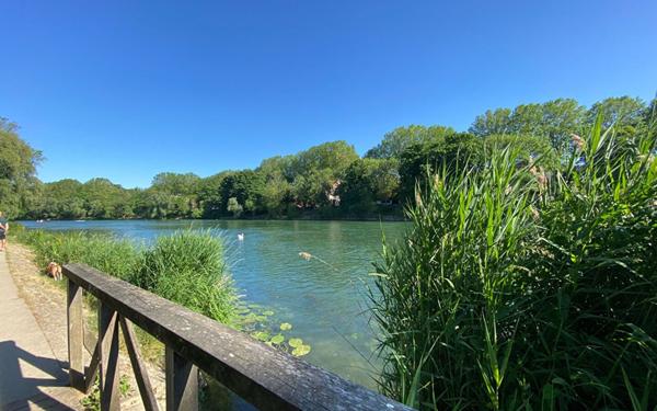 Appartement à vendre    2 pièces • 43 m2 Champigny-sur-Marne