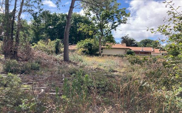 Terrain à vendre |  Grayan-et-l'Hôpital |  1665 m²