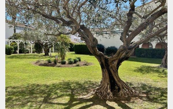 Vente Appartement P2 Cabine + Parking Le grau-du-roi   