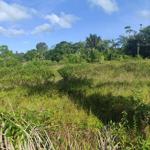 Terrain constructible STOUPAN-MATOURY