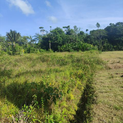 Terrain constructible STOUPAN-MATOURY
