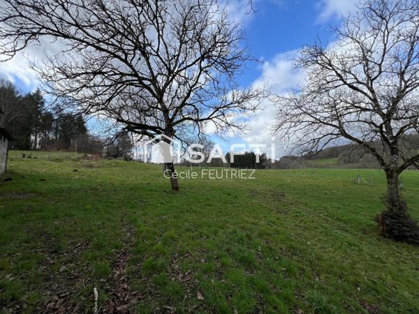 Maison avec énorme potentiel sans vis à vis