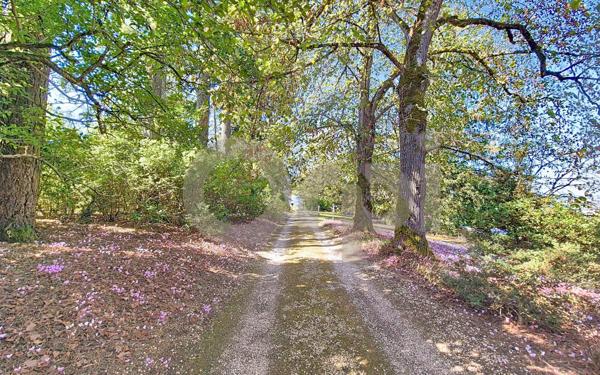 Maison à vendre    5 pièces •  Brive-la-Gaillarde