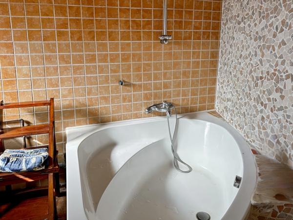 Maison à vendre - 5 pièces - 221m2 habitables - 3470m2 - Chambre d'hôtes - Lupiac (32)