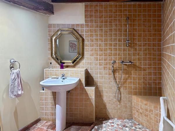 Maison à vendre - 5 pièces - 221m2 habitables - 3470m2 - Chambre d'hôtes - Lupiac (32)