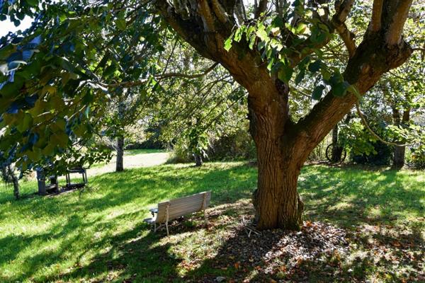 Maison à vendre - 5 pièces - 221m2 habitables - 3470m2 - Chambre d'hôtes - Lupiac (32)