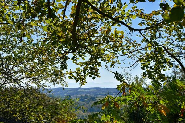 Maison à vendre - 5 pièces - 221m2 habitables - 3470m2 - Chambre d'hôtes - Lupiac (32)