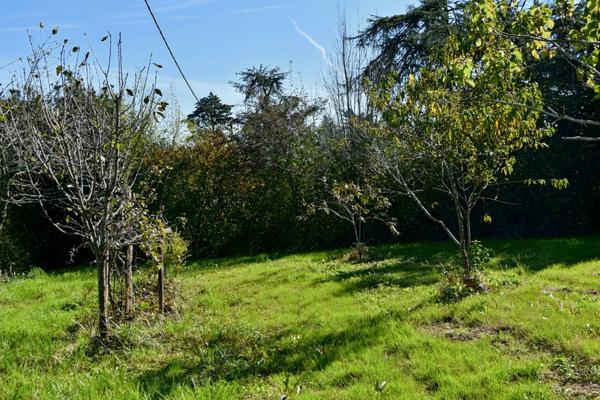 Maison à vendre - 5 pièces - 221m2 habitables - 3470m2 - Chambre d'hôtes - Lupiac (32)