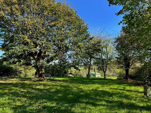 Maison à vendre - 5 pièces - 221m2 habitables - 3470m2 - Chambre d'hôtes - Lupiac (32)