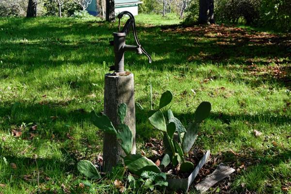 Maison à vendre - 5 pièces - 221m2 habitables - 3470m2 - Chambre d'hôtes - Lupiac (32)