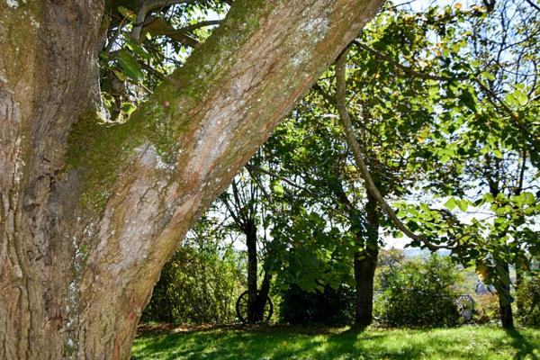 Maison à vendre - 5 pièces - 221m2 habitables - 3470m2 - Chambre d'hôtes - Lupiac (32)