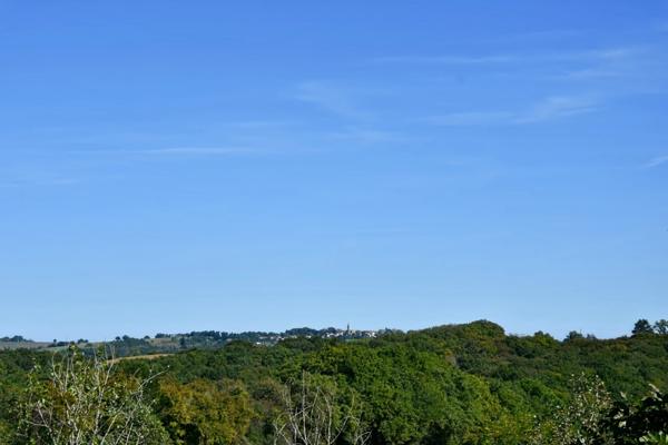 Maison à vendre - 5 pièces - 221m2 habitables - 3470m2 - Chambre d'hôtes - Lupiac (32)