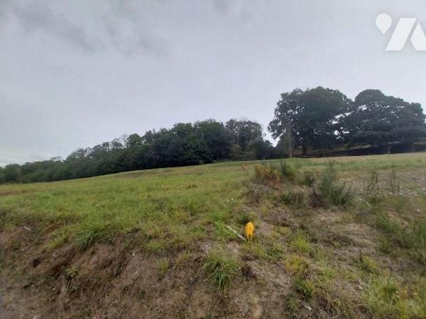 Terrain à Vendre à Montreuil-sous-Pérouse (35500) en Ille-et-Vilaine (35)

A VENDRE terrain à...