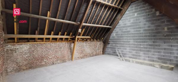 Maison Lys Lez Lannoy 19 pièce(s) 591 m2