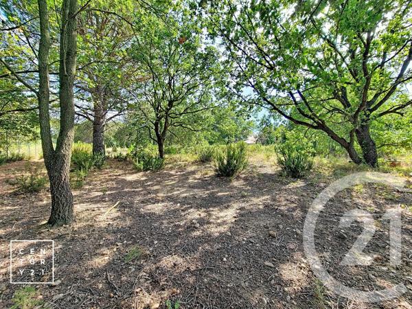 Terrain à vendre  5055 m 2   TOULOUGES  - 66