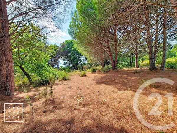 Terrain à vendre  5055 m 2   TOULOUGES  - 66