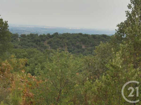 Terrain à vendre  5055 m 2   TOULOUGES  - 66