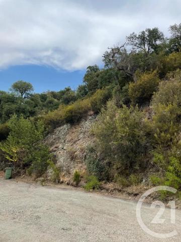 Terrain à vendre  5055 m 2   TOULOUGES  - 66