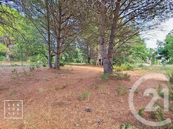 Terrain à vendre  5055 m 2   TOULOUGES  - 66