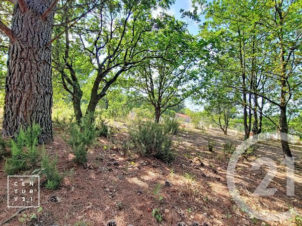 Terrain à vendre  5055 m 2   TOULOUGES  - 66