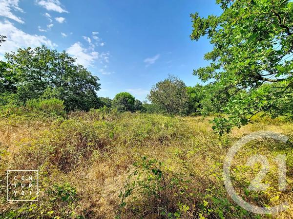 Terrain à vendre  5055 m 2   TOULOUGES  - 66