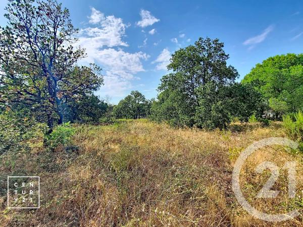Terrain à vendre  5055 m 2   TOULOUGES  - 66