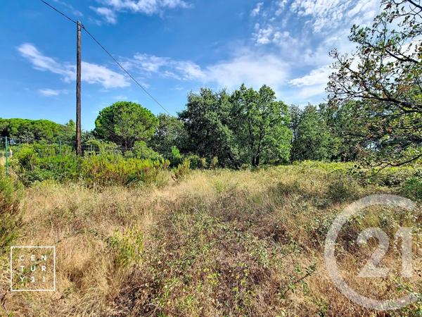 Terrain à vendre  5055 m 2   TOULOUGES  - 66