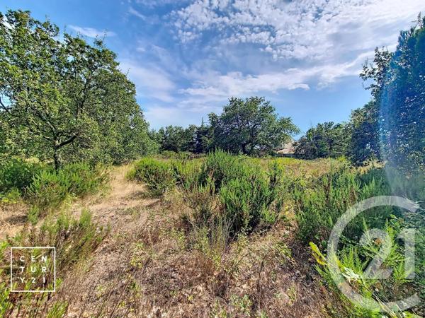 Terrain à vendre  5055 m 2   TOULOUGES  - 66