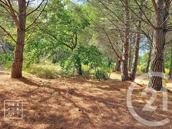 Terrain à vendre  5055 m 2   TOULOUGES  - 66