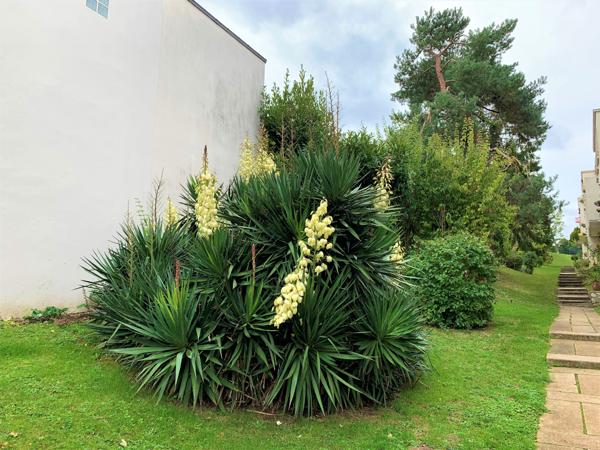 Appartement 4 pièces - 90 m² Exclusivité efficity